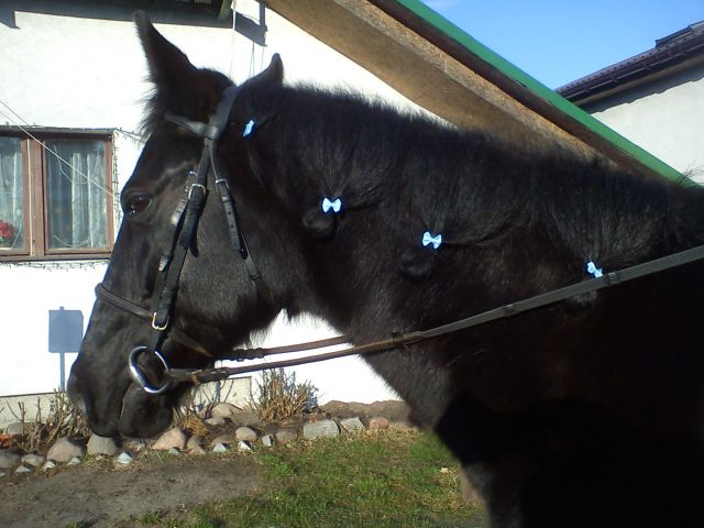 śliczności :)