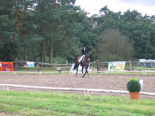 IMG_6304 - czworobok.JPG